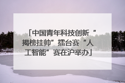 中国青年科技创新“揭榜挂帅”擂台赛“人工智能”赛在沪举办