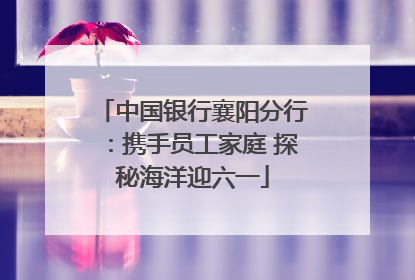 中国银行襄阳分行：携手员工家庭 探秘海洋迎六一