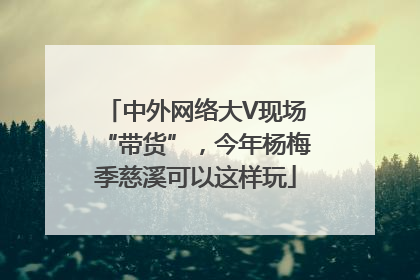 中外网络大V现场“带货”，今年杨梅季慈溪可以这样玩