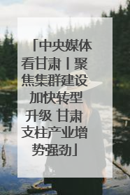 中央媒体看甘肃丨聚焦集群建设 加快转型升级 甘肃支柱产业增势强劲