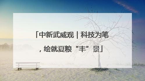 中新武威观｜科技为笔，绘就夏粮“丰”景