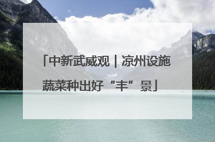 中新武威观｜凉州设施蔬菜种出好“丰”景