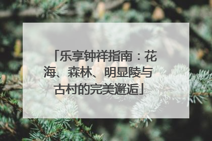 乐享钟祥指南：花海、森林、明显陵与古村的完美邂逅