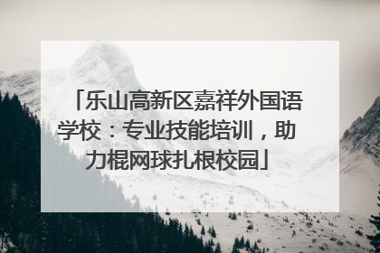 乐山高新区嘉祥外国语学校：专业技能培训，助力棍网球扎根校园
