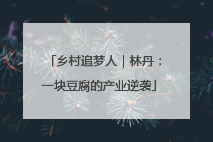 乡村追梦人｜林丹：一块豆腐的产业逆袭