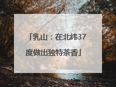 乳山：在北纬37度做出独特茶香