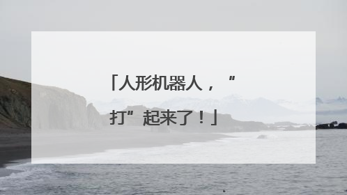 人形机器人，“打”起来了！