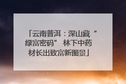 云南普洱：深山藏“绿富密码” 林下中药材长出致富新图景