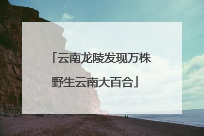 云南龙陵发现万株野生云南大百合
