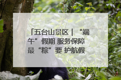 五台山景区｜“端午”假期 服务保障最“粽”要 护航假期“不打烊”