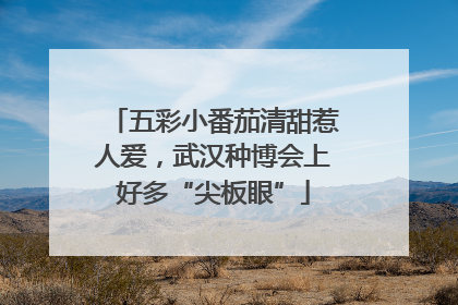 五彩小番茄清甜惹人爱，武汉种博会上好多“尖板眼”
