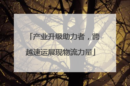 产业升级助力者，跨越速运展现物流力量