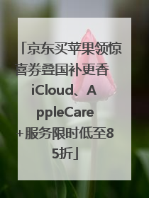 京东买苹果领惊喜券叠国补更香 iCloud、AppleCare+服务限时低至85折