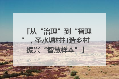 从“治理”到“智理”，圣水塘村打造乡村振兴“智慧样本”