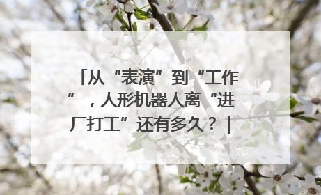 从“表演”到“工作”，人形机器人离“进厂打工”还有多久？｜机器人商业新纪元