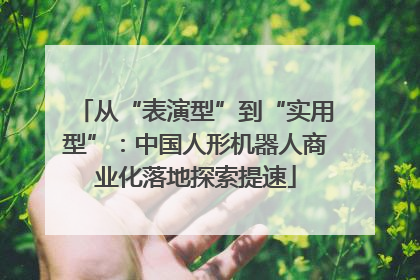 从“表演型”到“实用型”：中国人形机器人商业化落地探索提速