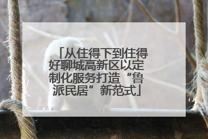 从住得下到住得好聊城高新区以定制化服务打造“鲁派民居”新范式