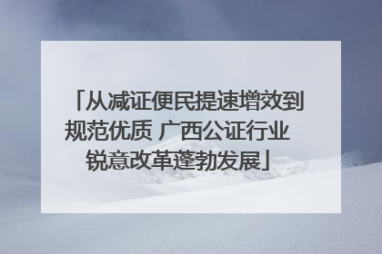 从减证便民提速增效到规范优质 广西公证行业锐意改革蓬勃发展