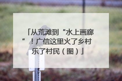 从荒滩到“水上画廊”！广信这里火了乡村 乐了村民（图）
