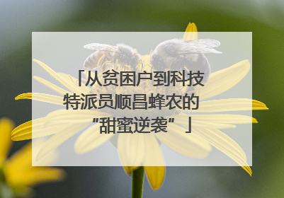 从贫困户到科技特派员顺昌蜂农的“甜蜜逆袭”