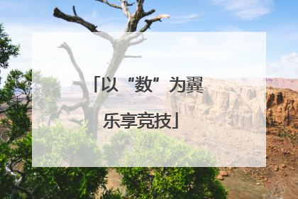 以“数”为翼 乐享竞技
