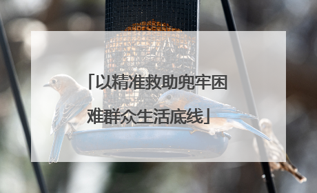 以精准救助兜牢困难群众生活底线