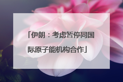 伊朗：考虑暂停同国际原子能机构合作