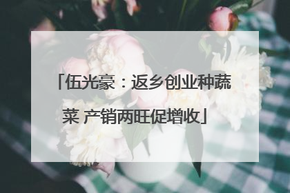 伍光豪：返乡创业种蔬菜 产销两旺促增收
