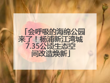 会呼吸的海绵公园来了！杨浦新江湾城7.35公顷生态空间改造焕新