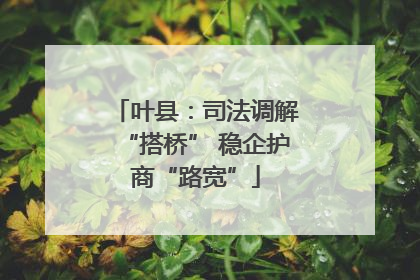 叶县：司法调解“搭桥” 稳企护商“路宽”