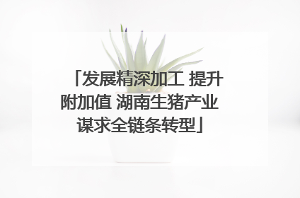 发展精深加工 提升附加值 湖南生猪产业谋求全链条转型