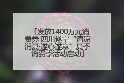 发放1400万元消费券 四川遂宁“清凉消夏·遂心遂意”夏季消费季活动启动
