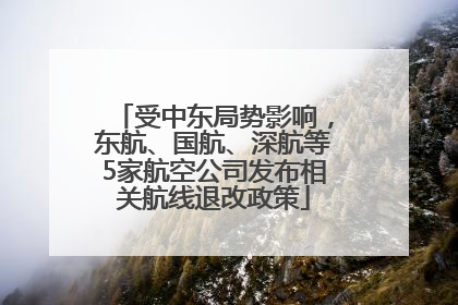 受中东局势影响，东航、国航、深航等5家航空公司发布相关航线退改政策