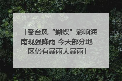受台风“蝴蝶”影响海南现强降雨 今天部分地区仍有暴雨大暴雨