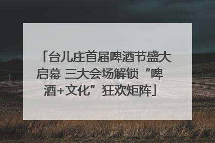 台儿庄首届啤酒节盛大启幕 三大会场解锁“啤酒+文化”狂欢矩阵