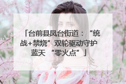 台前县凤台街道：“统战+禁烧”双轮驱动守护蓝天 “零火点”