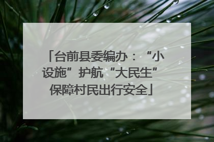 台前县委编办：“小设施”护航“大民生” 保障村民出行安全