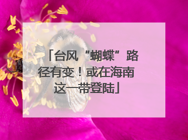 台风“蝴蝶”路径有变！或在海南这一带登陆