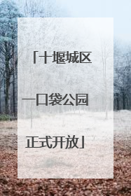 十堰城区一口袋公园正式开放