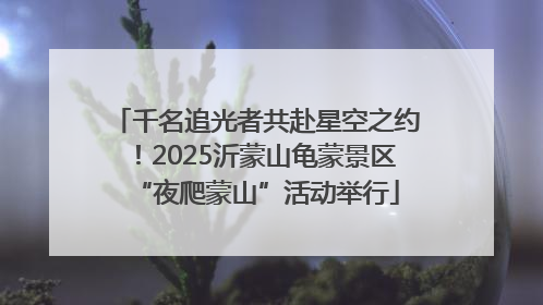 千名追光者共赴星空之约！2025沂蒙山龟蒙景区“夜爬蒙山”活动举行