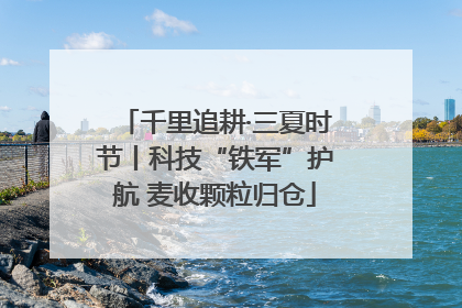 千里追耕·三夏时节丨科技“铁军”护航 麦收颗粒归仓
