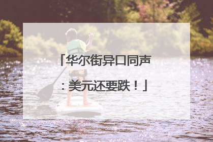 华尔街异口同声：美元还要跌！