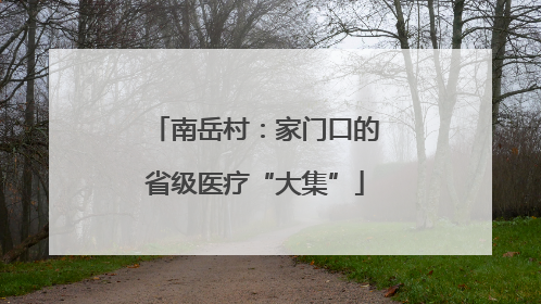 南岳村：家门口的省级医疗“大集”