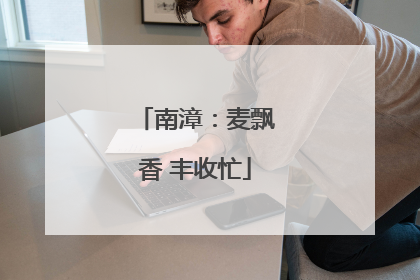 南漳：麦飘香 丰收忙