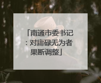 南通市委书记：对庸碌无为者果断调整