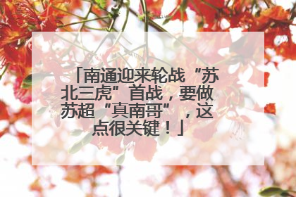 南通迎来轮战“苏北三虎”首战，要做苏超“真南哥”，这点很关键！