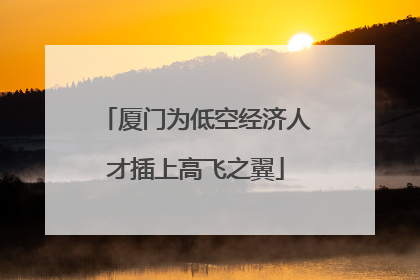 厦门为低空经济人才插上高飞之翼