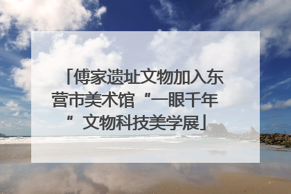 傅家遗址文物加入东营市美术馆“一眼千年”文物科技美学展