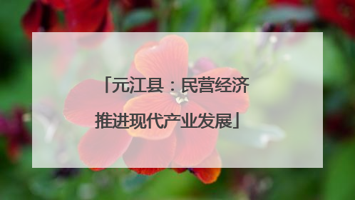 元江县：民营经济推进现代产业发展