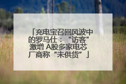 充电宝召回风波中的罗马仕：“访客”激增 A股多家电芯厂商称“未供货”